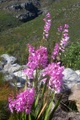 100_3770.jpg