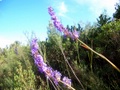 100_3773.jpg