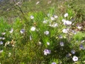 100_3780.jpg