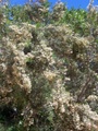 100_3787.jpg
