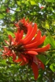 100_3817.jpg