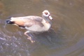 100_3820.jpg