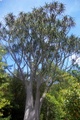 100_3822.jpg