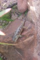 100_3836.jpg