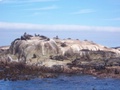 100_3879.jpg