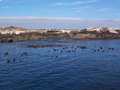 100_3887.jpg