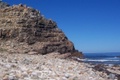100_3938.jpg