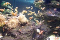 100_3950.jpg