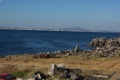 100_3961.jpg