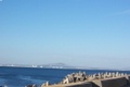 100_3962.jpg
