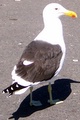 100_3980.jpg
