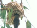 pict0011.jpg