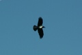 pict0028.jpg