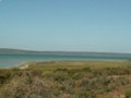 pict0030.jpg