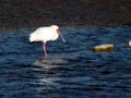 pict0055.jpg