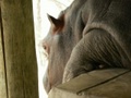 pict0394.jpg