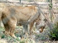 pict0408.jpg