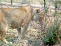 pict0409.jpg