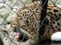 pict0414.jpg