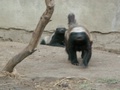 pict0421.jpg