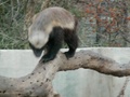 pict0423.jpg