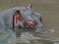 pict0424.jpg