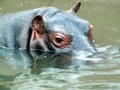 pict0425.jpg