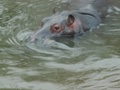 pict0426.jpg