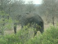 pict0440.jpg