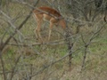 pict0449.jpg