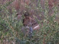 pict0455.jpg