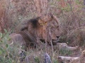 pict0467.jpg