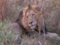 pict0471.jpg