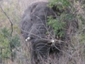 pict0476.jpg