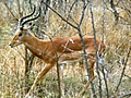 pict0480.jpg
