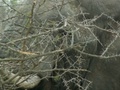 pict0484.jpg