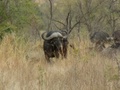 pict0491.jpg