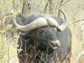 pict0495.jpg