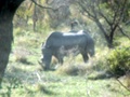 pict0505.jpg
