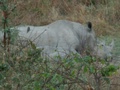 pict0521.jpg