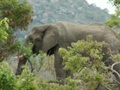 pict0530.jpg