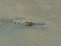 pict0533.jpg