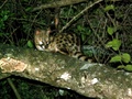 pict0561.jpg