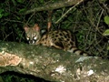 pict0564.jpg