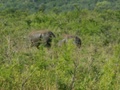 pict0571.jpg