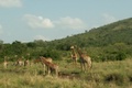 pict0574.jpg