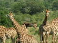 pict0576.jpg