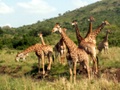 pict0579.jpg