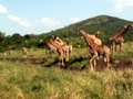 pict0581.jpg