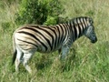 pict0586.jpg